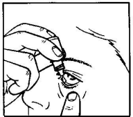 Picture2.png