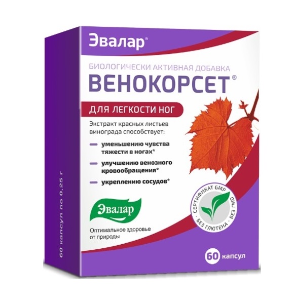 Венокорсет