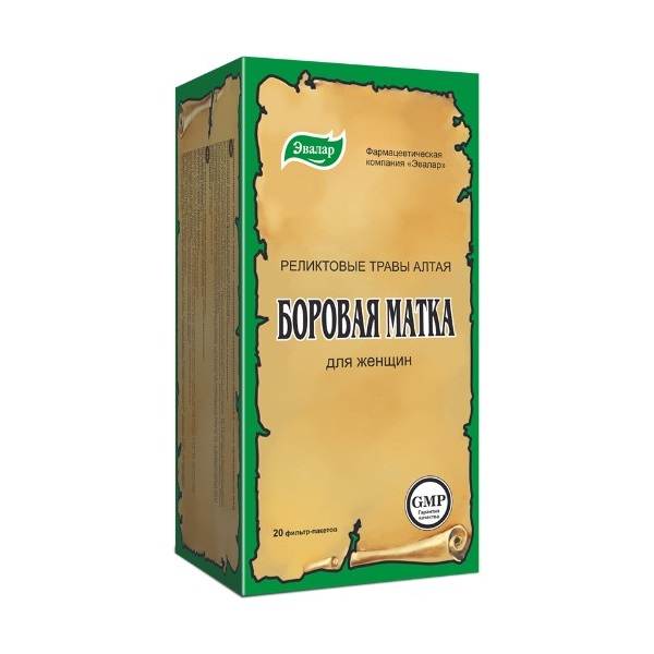 Боровая матка чай