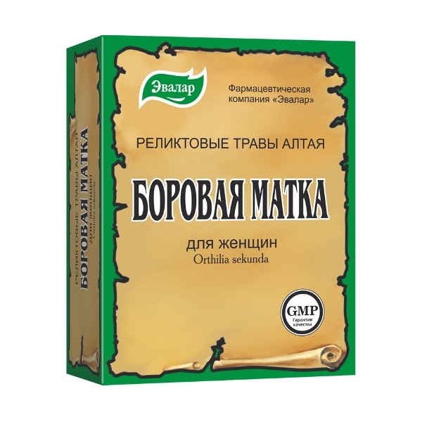 Боровая матка сбор