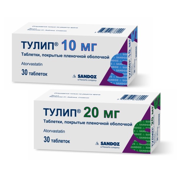 Тулип
