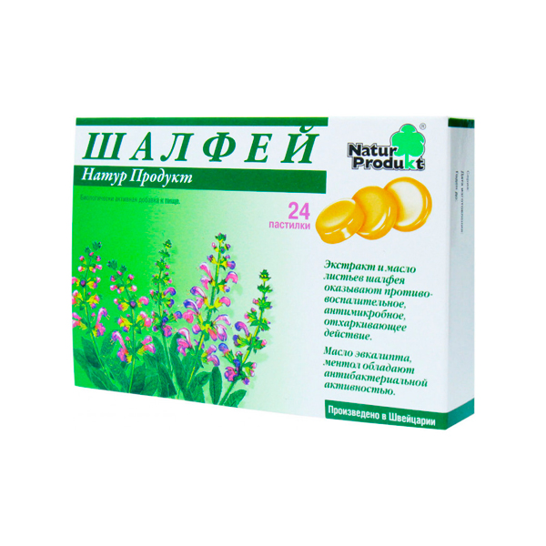Шалфей пастилки