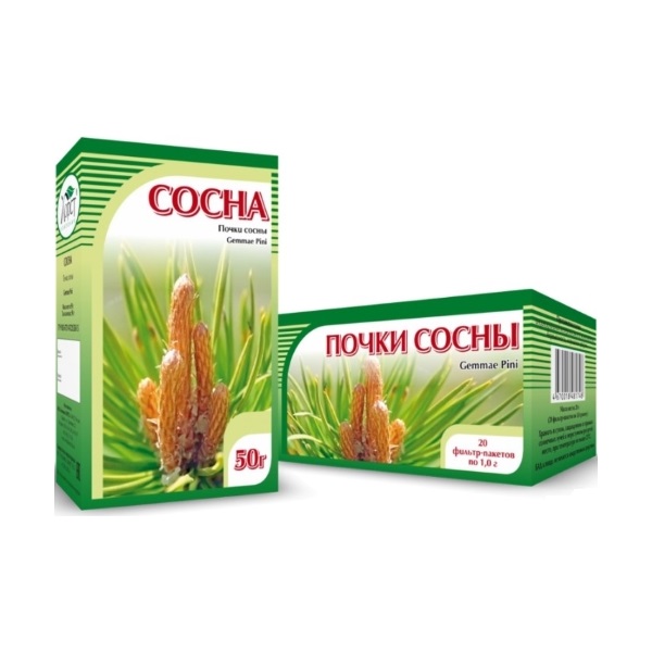 Сосны почки Компания Хорст