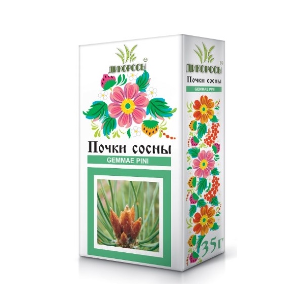 Сосны почки Парафарм