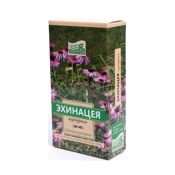 Эхинацеи пурпурной трава Камелия-ЛТ