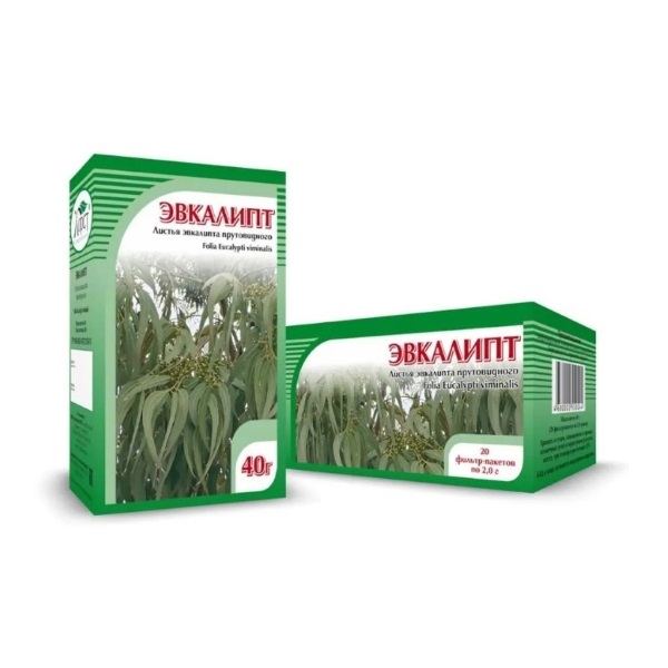 Эвкалипт Хорст