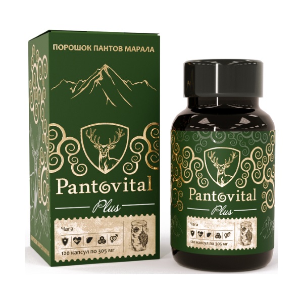 Пантовитал плюс чага