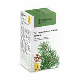 Сосны почки