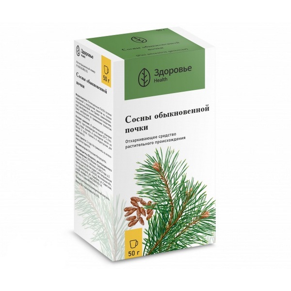 Сосны почки