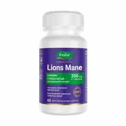 Ежовик гребенчатый