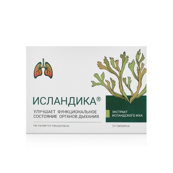 Исландика