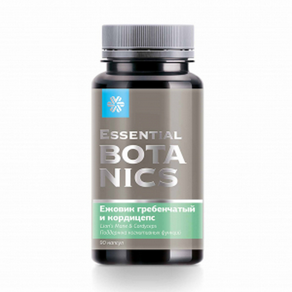 Ежовик гребенчатый и кордицепс