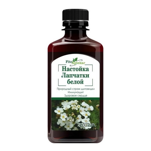 Лапчатки белой настойка