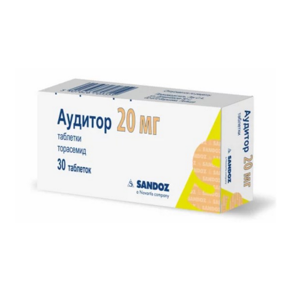 Аудитор