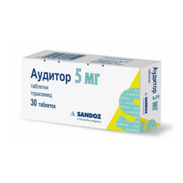 Аудитор