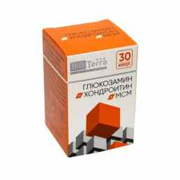 Глюкозамин+хондроитин+мсм