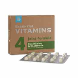 Глюкозамин и хондроитин