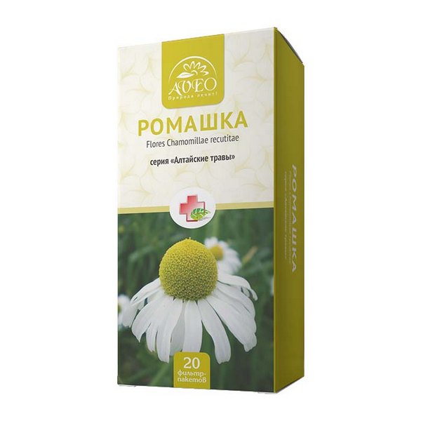 Ромашки цветки