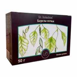 Березы почки