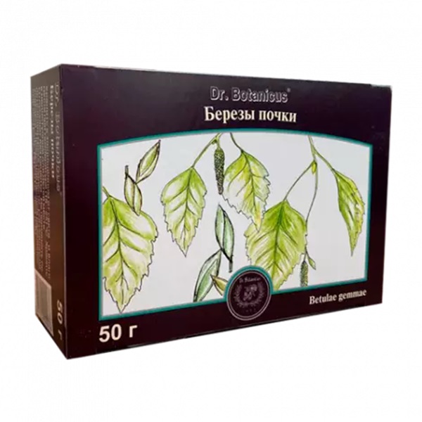 Березы почки