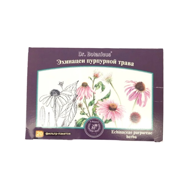 Эхинацеи пурпурной трава