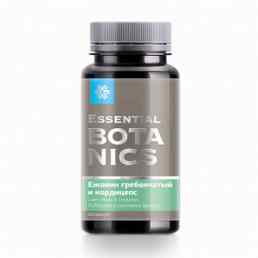 Ежовик гребенчатый и кордицепс