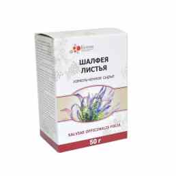 Шалфея листья