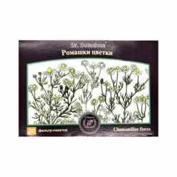 Ромашки цветки