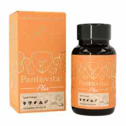 Пантовитал плюс гриб рейши