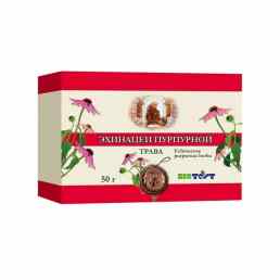 Эхинацеи пурпурной трава