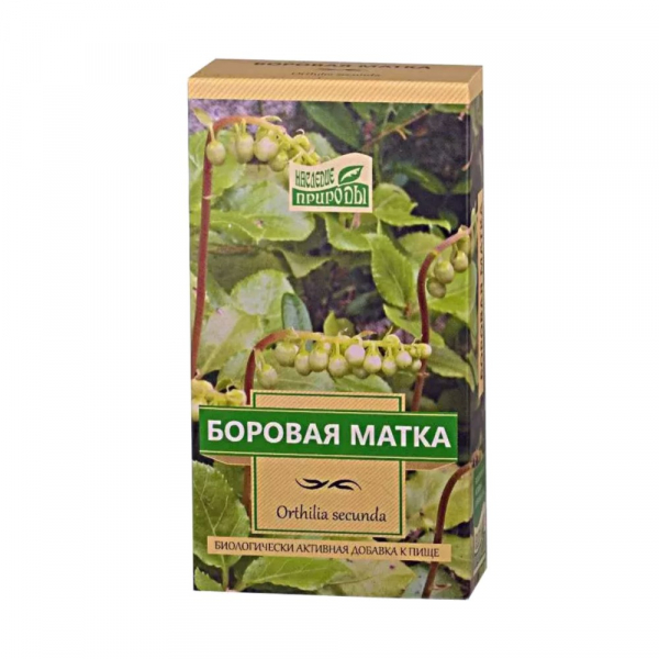 Боровая матка (ортилия однобокая)