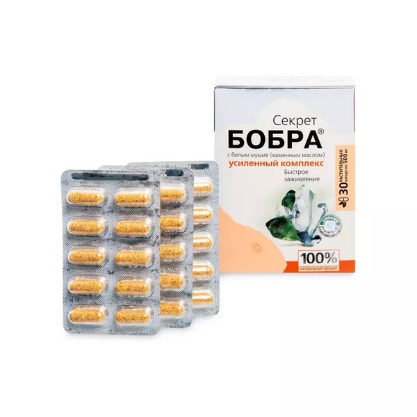 Секрет бобра с белым мумие