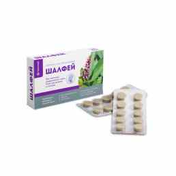 Шалфей лекалтай