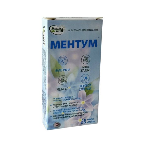 Ментум