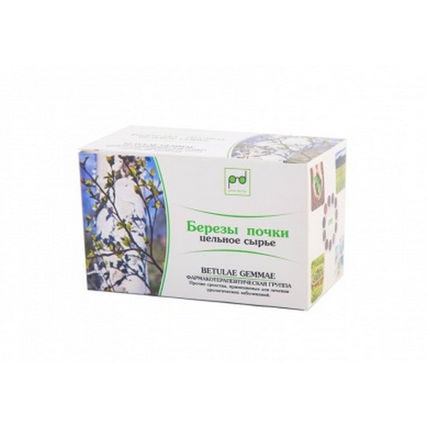 Березовые почки
