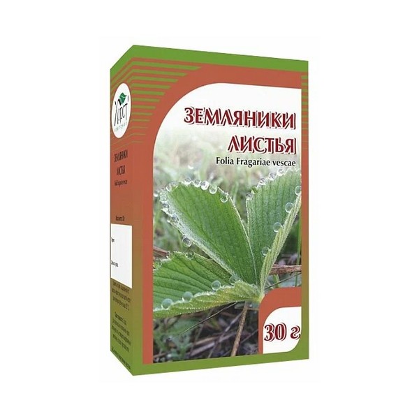 Земляники листья