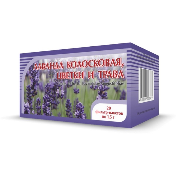 Лаванда колосоковая цветки и трава