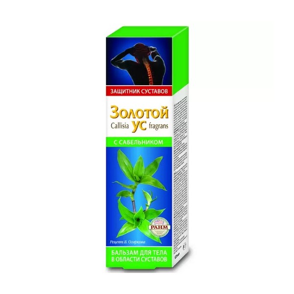 Золотой ус с сабельником