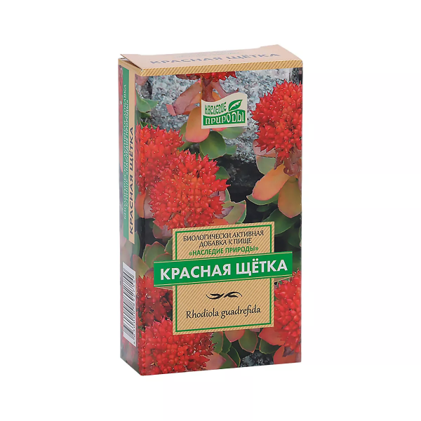 Красной щетки (родиолы четырехчленной) корень