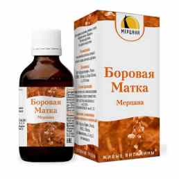 Боровая матка мерцана