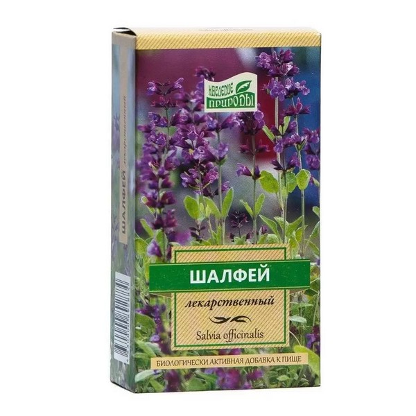 Шалфея листья