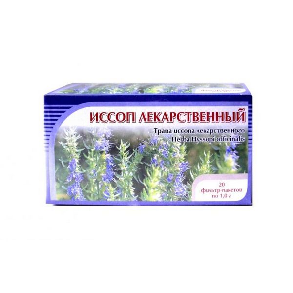 Иссоп лекарственный