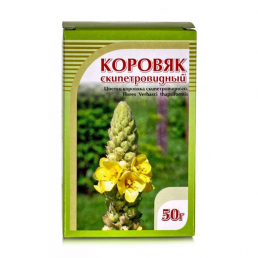 Коровяк скипетровидный