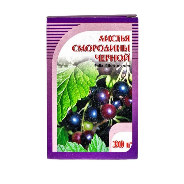 Черной смородины листья