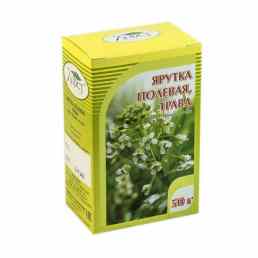 Ярутка полевая трава