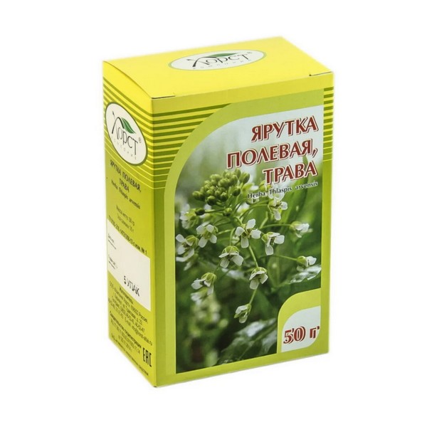 Ярутка полевая трава