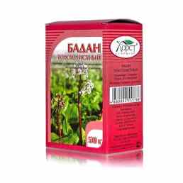 Бадана корневища