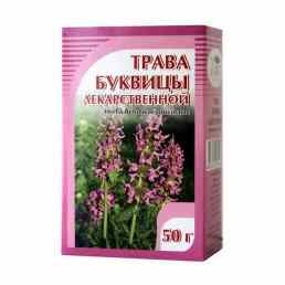 Буквица лекарственная