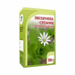 Звездчатка средняя (мокрица)