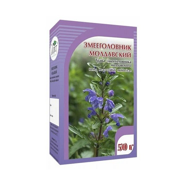 Змееголовник молдавский